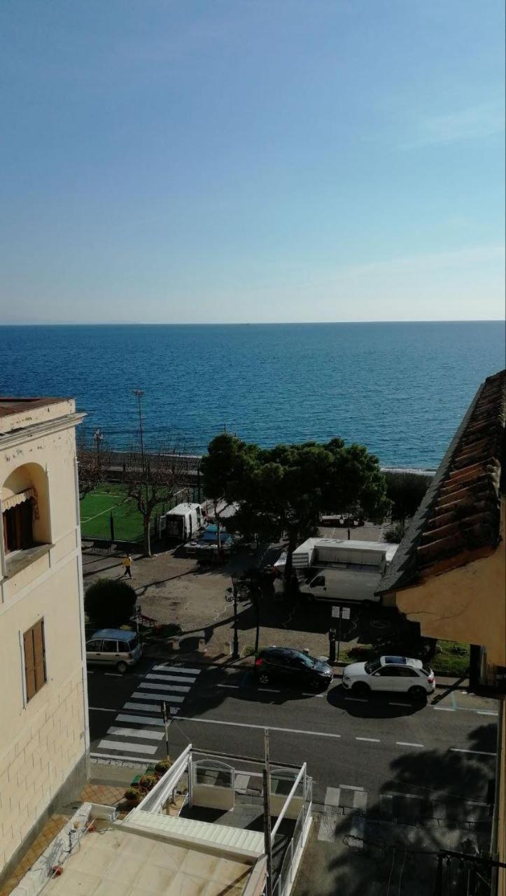 Brasca Amalfi Rosa Canina مينوري المظهر الخارجي الصورة