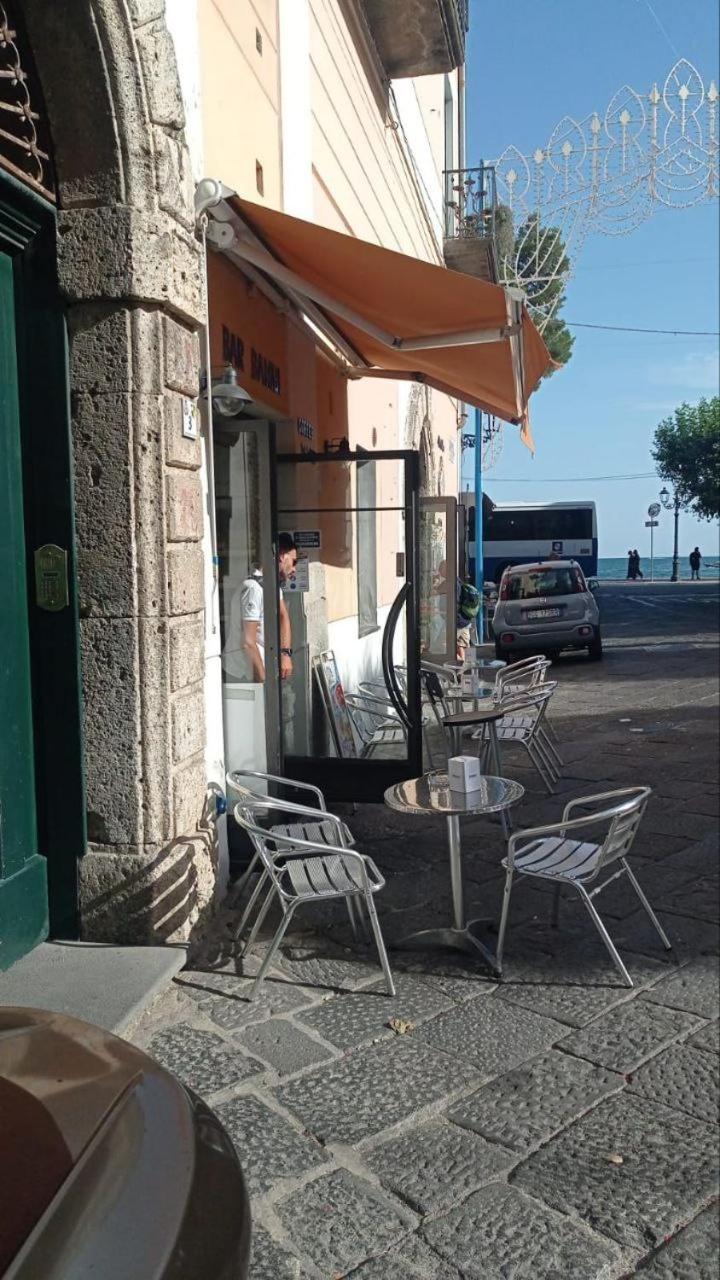 Brasca Amalfi Rosa Canina مينوري المظهر الخارجي الصورة