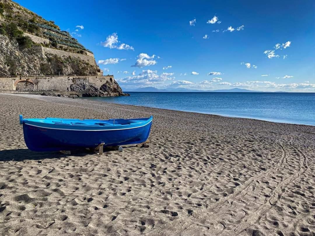 Brasca Amalfi Rosa Canina مينوري المظهر الخارجي الصورة